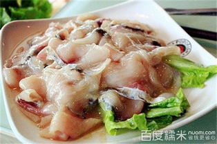 魔石泡泡魚 以特色餐飲撬動加盟市場，打造品質(zhì)餐飲新標(biāo)桿