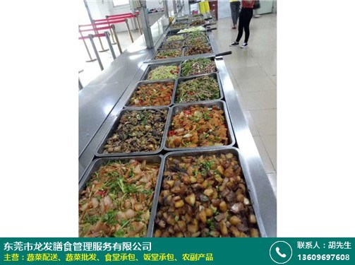 茶山中學(xué)食堂承包資質(zhì)探析 以龍發(fā)膳食餐飲管理為例